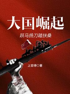 重生在湘江战役时的抗战小说